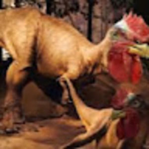 Meet your Posher, Jayvren